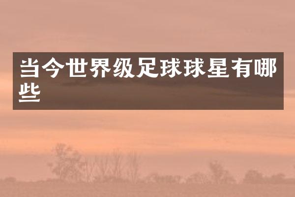 当今世界级足球球星有哪些