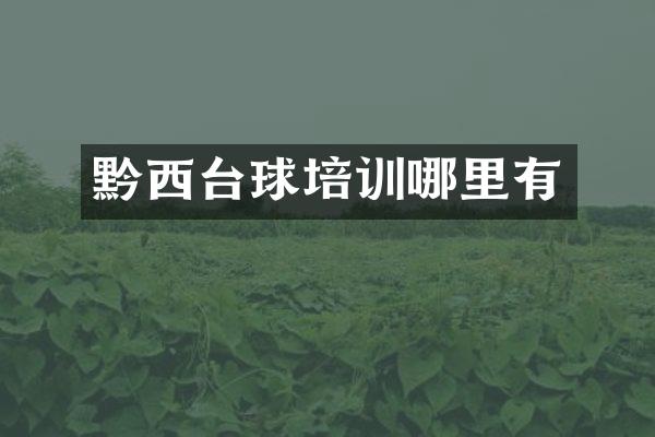黔西台球培训哪里有