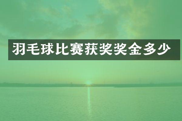 羽毛球比赛奖金多少