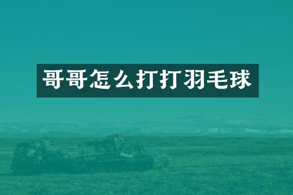 哥哥怎么打打羽毛球