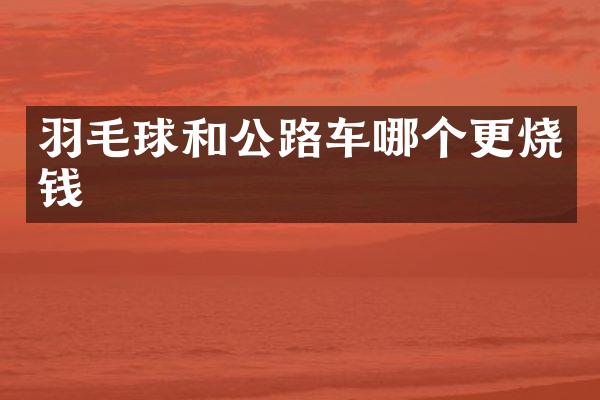 羽毛球和公路车哪个更烧钱