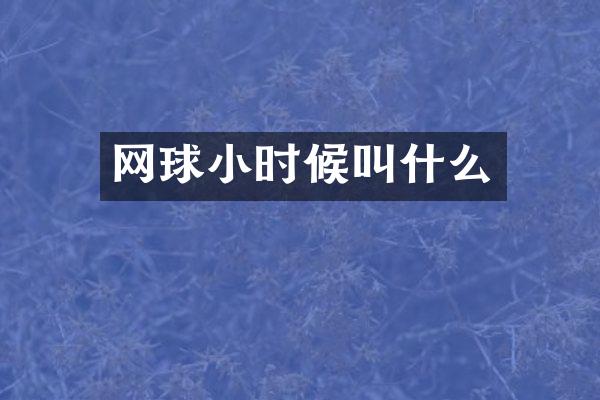 网球小时候叫什么