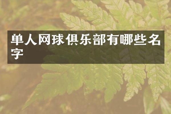 单人网球俱乐部有哪些名字