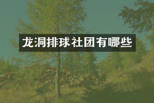 龙洞排球社团有哪些