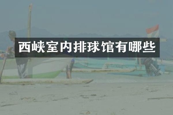西峡室内排球馆有哪些
