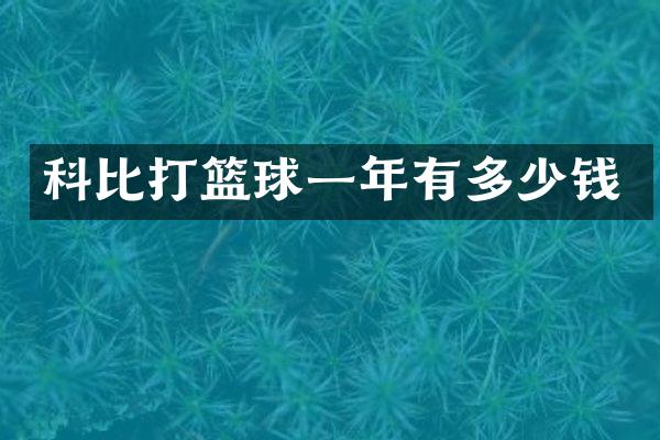科比打篮球一年有多少钱