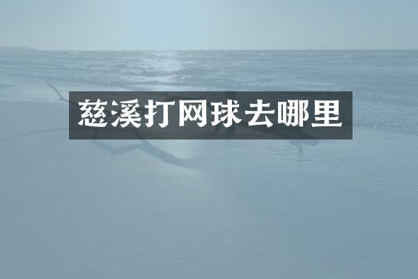 慈溪打网球去哪里