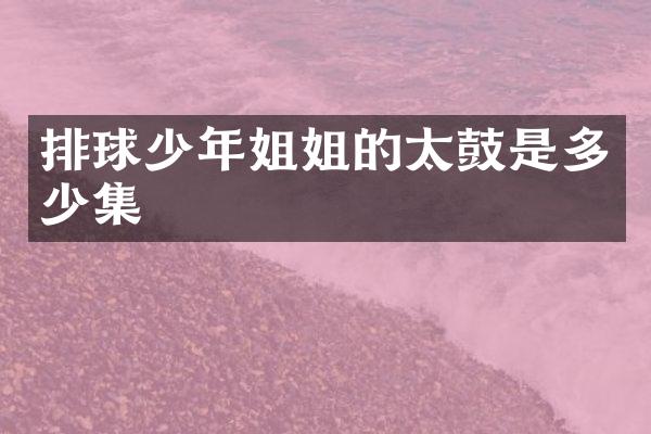 排球少年姐姐的太鼓是多少集