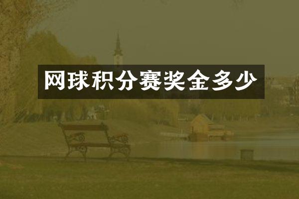 网球积分赛奖金多少