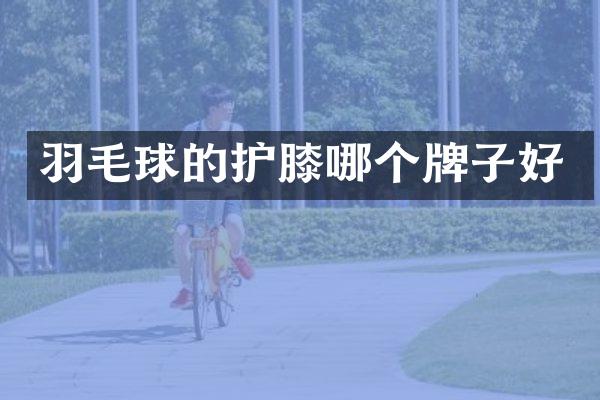 羽毛球的护膝哪个牌子好