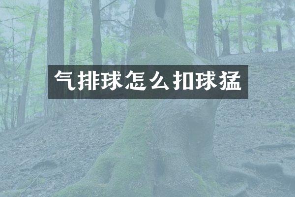 气排球怎么扣球猛