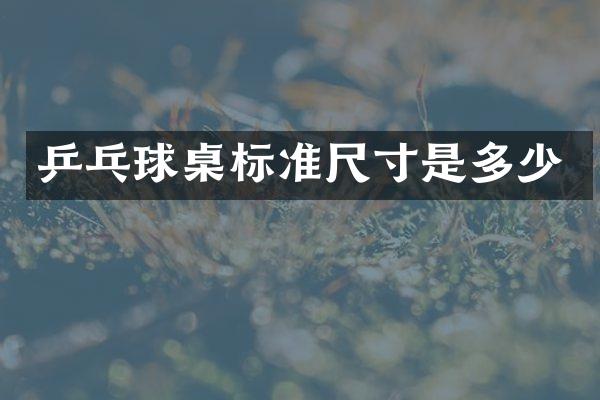 乒乓球桌标准尺寸是多少