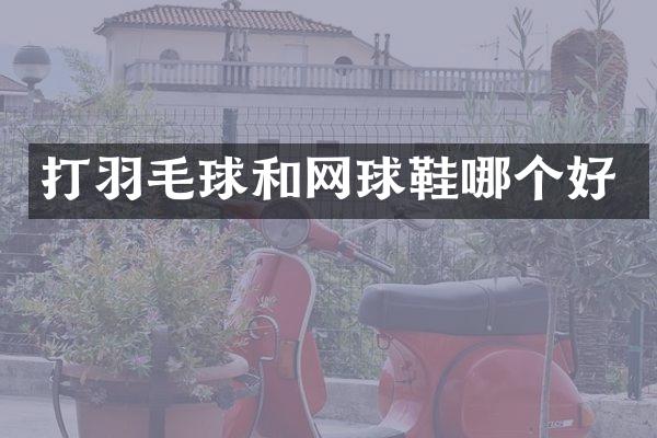 打羽毛球和网球鞋哪个好
