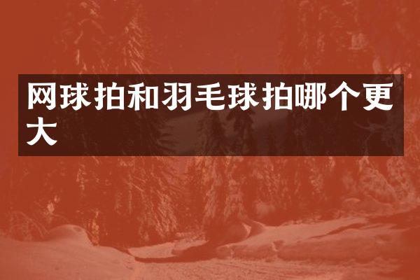 网球拍和羽毛球拍哪个更大