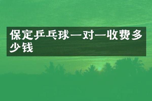 保定乒乓球一对一收费多少钱