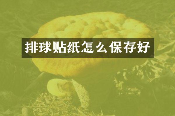 排球贴纸怎么保存好