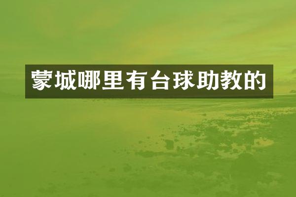 蒙城哪里有台球助教的
