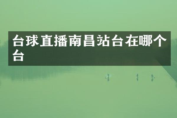 台球直播南昌站台在哪个台