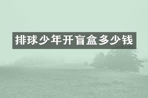 排球少年开盲盒多少钱