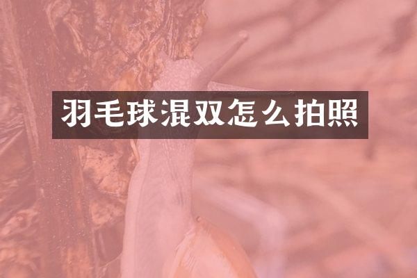 羽毛球混双怎么拍照