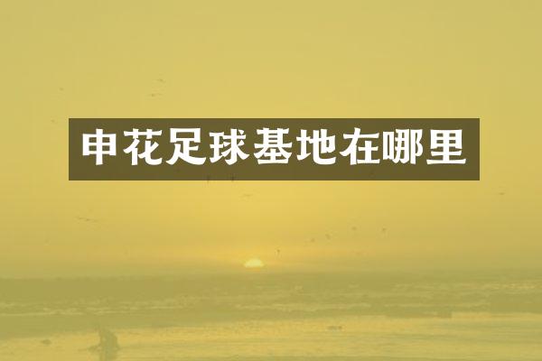 申花足球基地在哪里