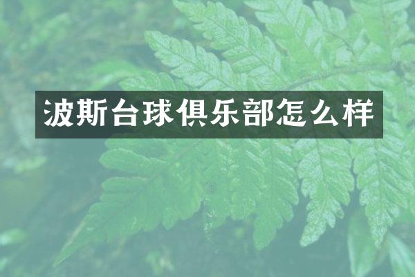 波斯台球俱乐部怎么样