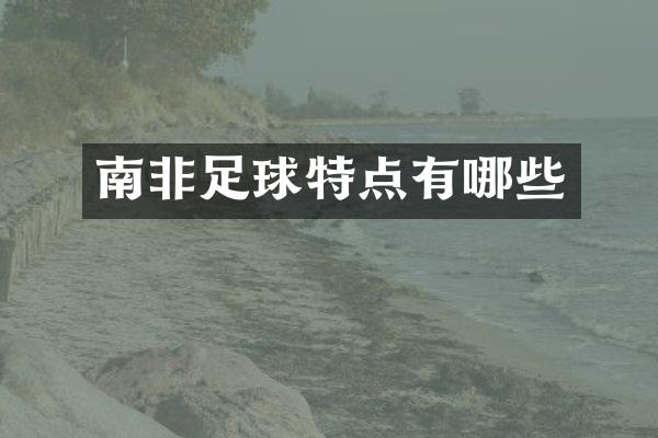 南非足球特点有哪些