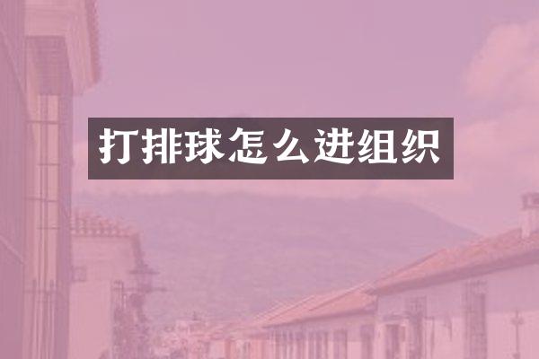 打排球怎么进组织