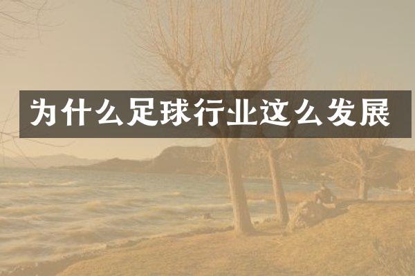 为什么足球行业这么发展