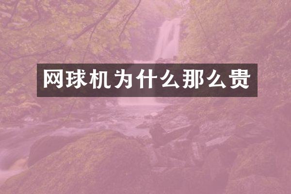 网球机为什么那么贵