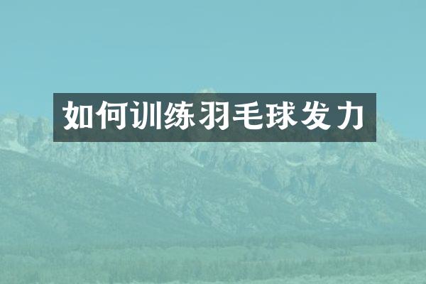 如何训练羽毛球发力