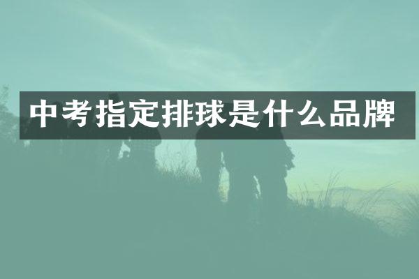 中考指定排球是什么品牌