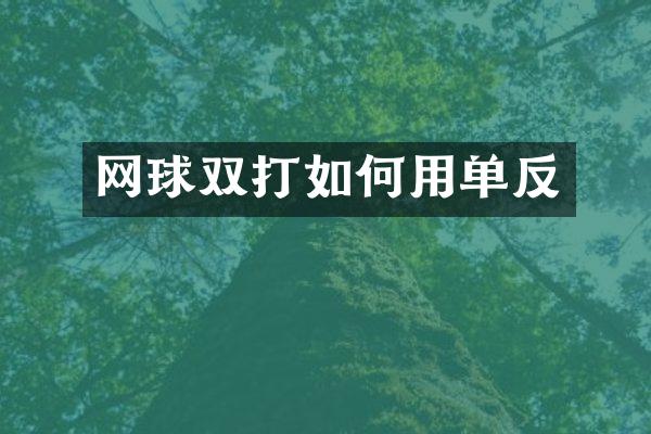 网球双打如何用单反