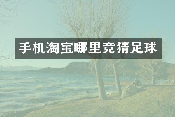 手机淘宝哪里竞猜足球