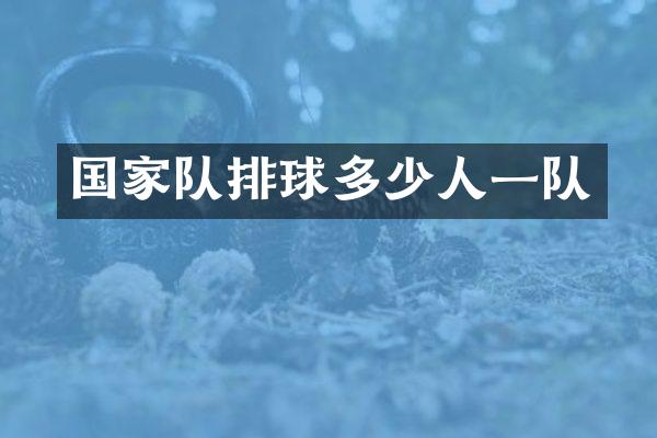 国家队排球多少人一队