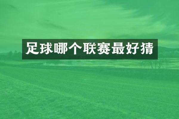 足球哪个联赛最好猜