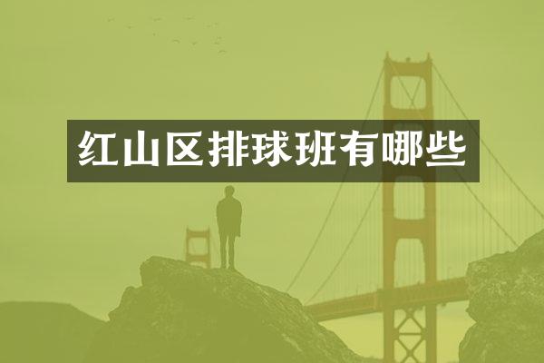 红山区排球班有哪些