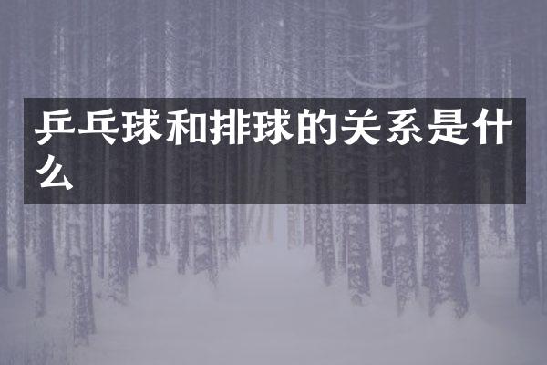 乒乓球和排球的关系是什么
