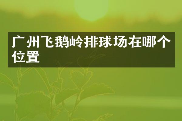 广州飞鹅岭排球场在哪个位置