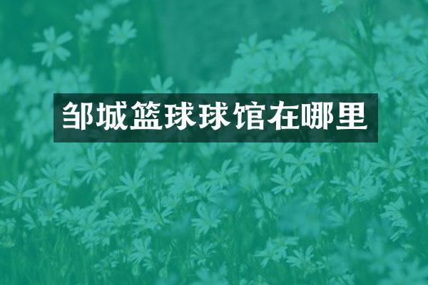 邹城篮球球馆在哪里