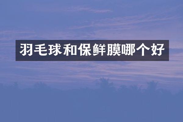 羽毛球和保鲜膜哪个好