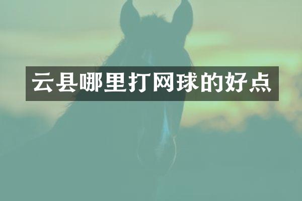 云县哪里打网球的好点