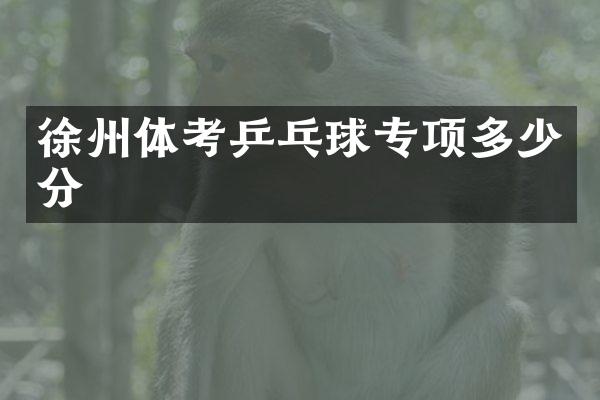 徐州体考乒乓球专项多少分