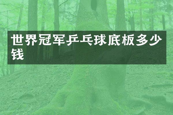 世界冠军乒乓球底板多少钱