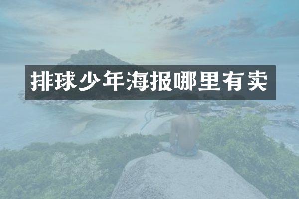 排球少年海报哪里有卖