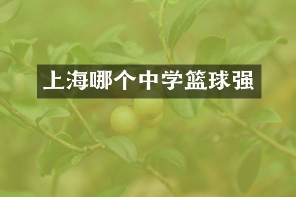 上海哪个中学篮球强