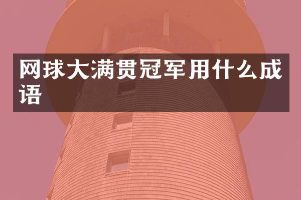 网球冠军用什么成语