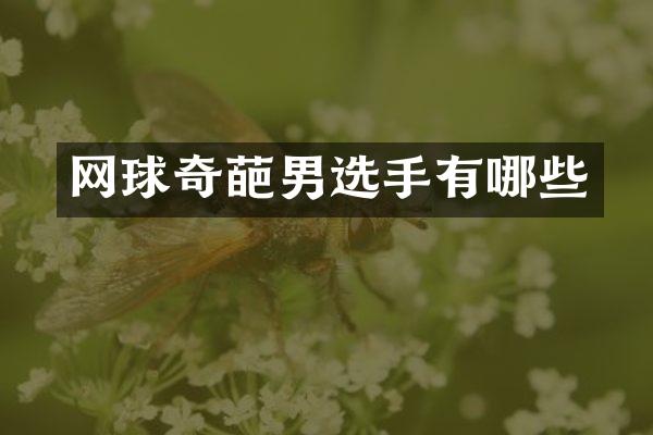 网球奇葩男选手有哪些