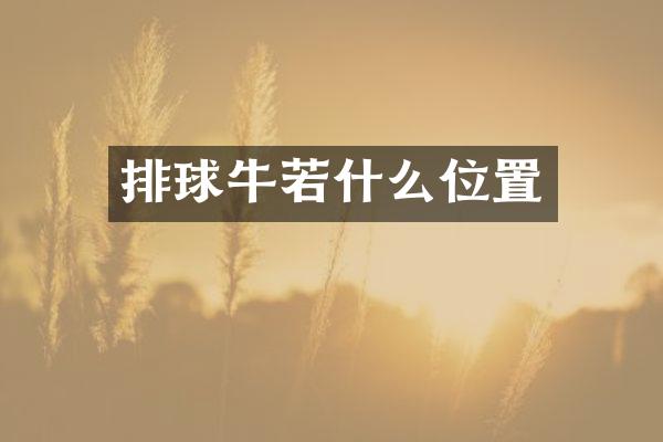 排球牛若什么位置