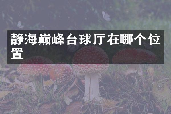 静海巅峰台球厅在哪个位置